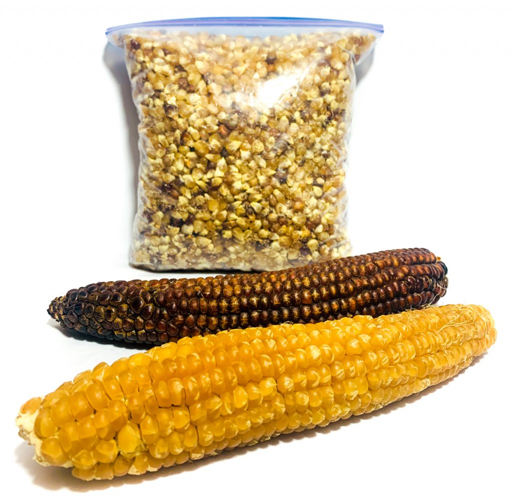 Navajo Dry Steam Corn – Ben Farms